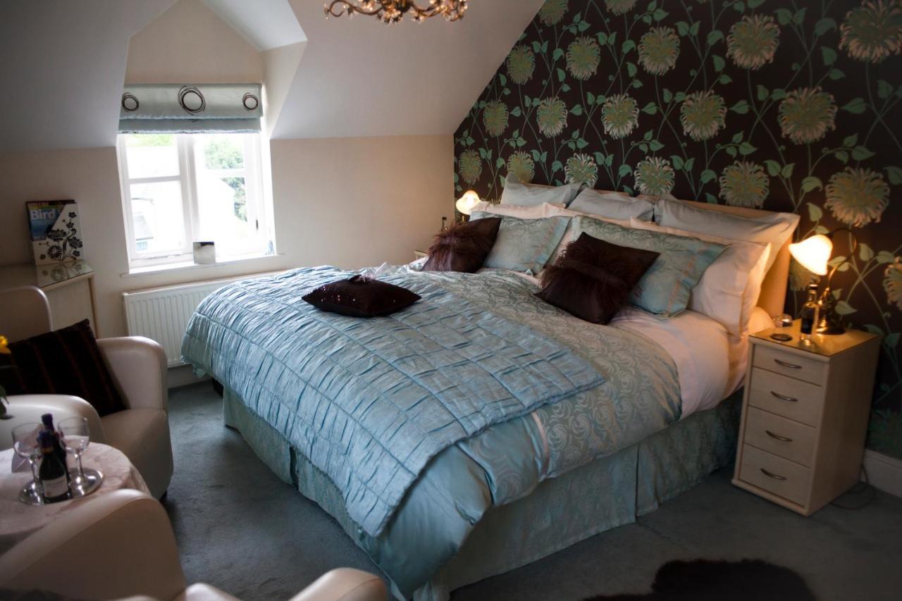 Y Garth Luxury Bed And Breakfast Dinas エクステリア 写真