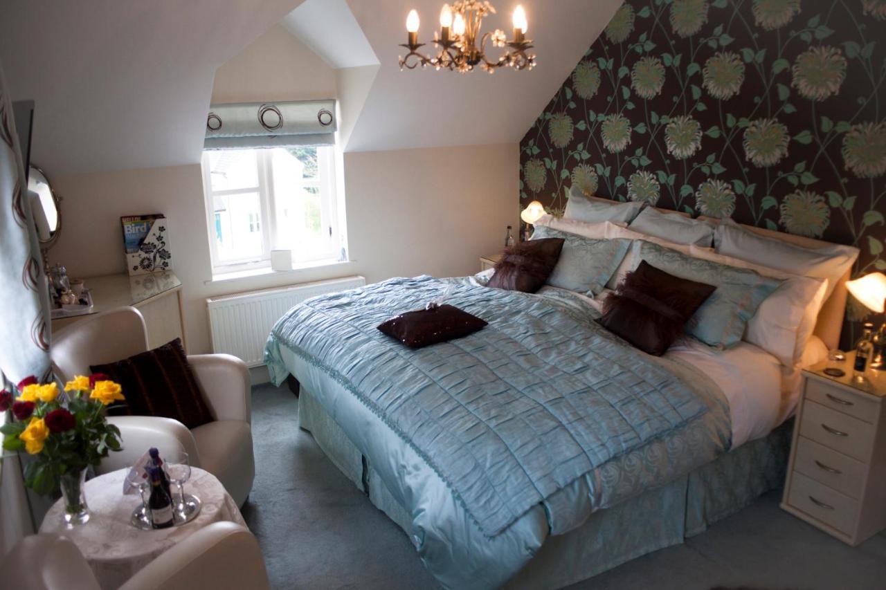 Y Garth Luxury Bed And Breakfast Dinas エクステリア 写真